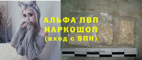 крисы Надым