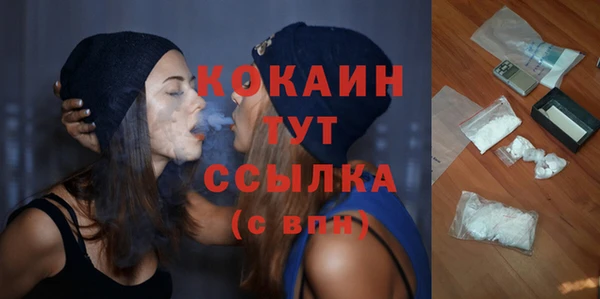 индика Дрезна