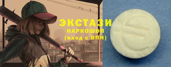 крисы Надым