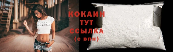 крисы Надым