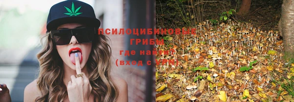 крисы Надым