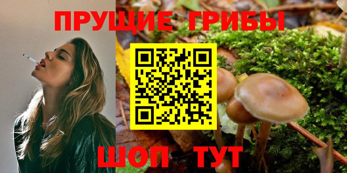Галлюциногенные грибы мицелий Павловский Посад