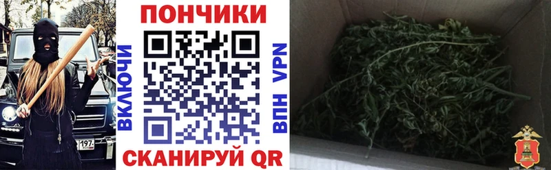 купить наркотик  Павловский Посад  Марихуана SATIVA & INDICA 
